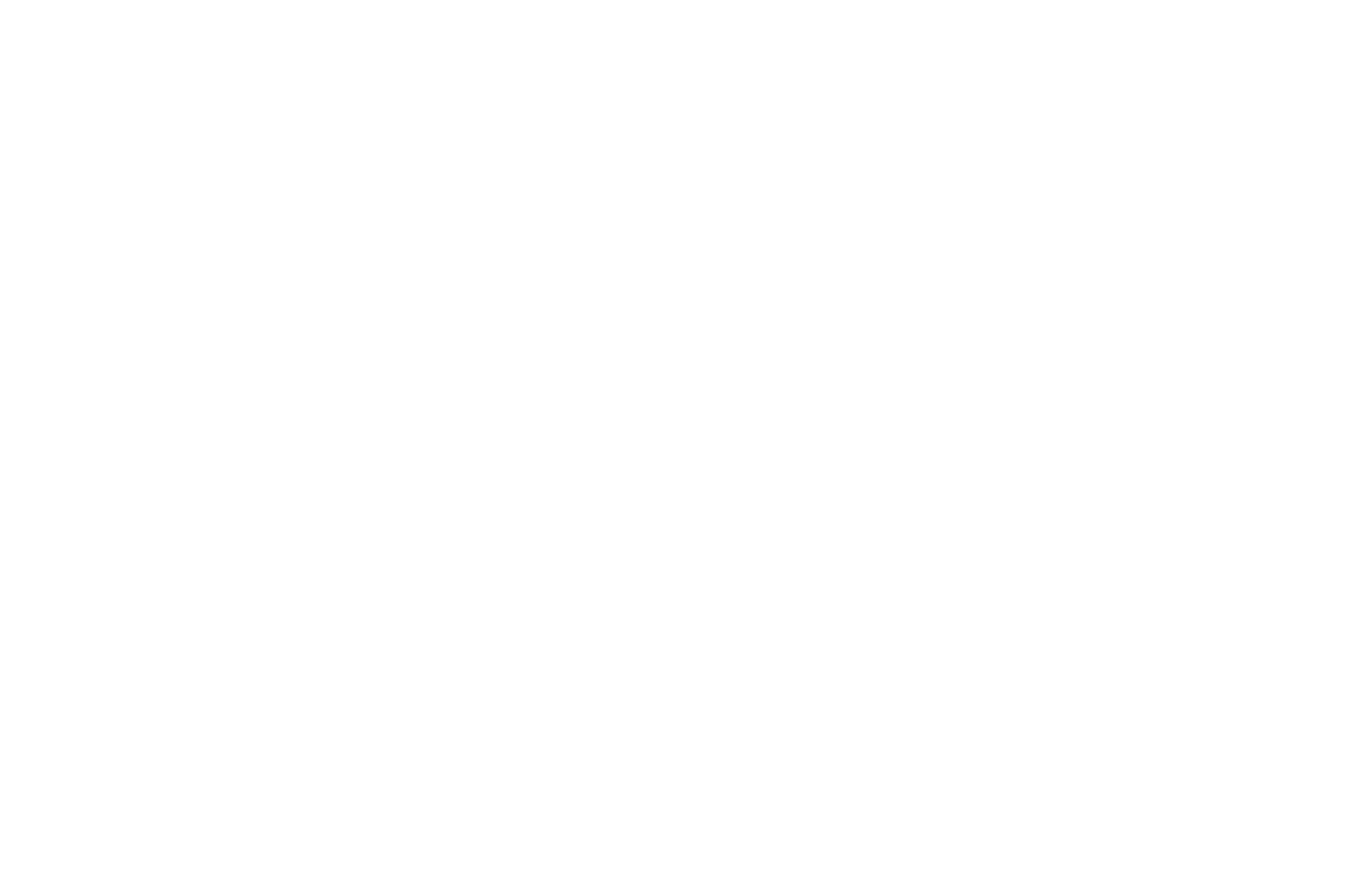Official Selection - Max Sir International Film Festival - 2023